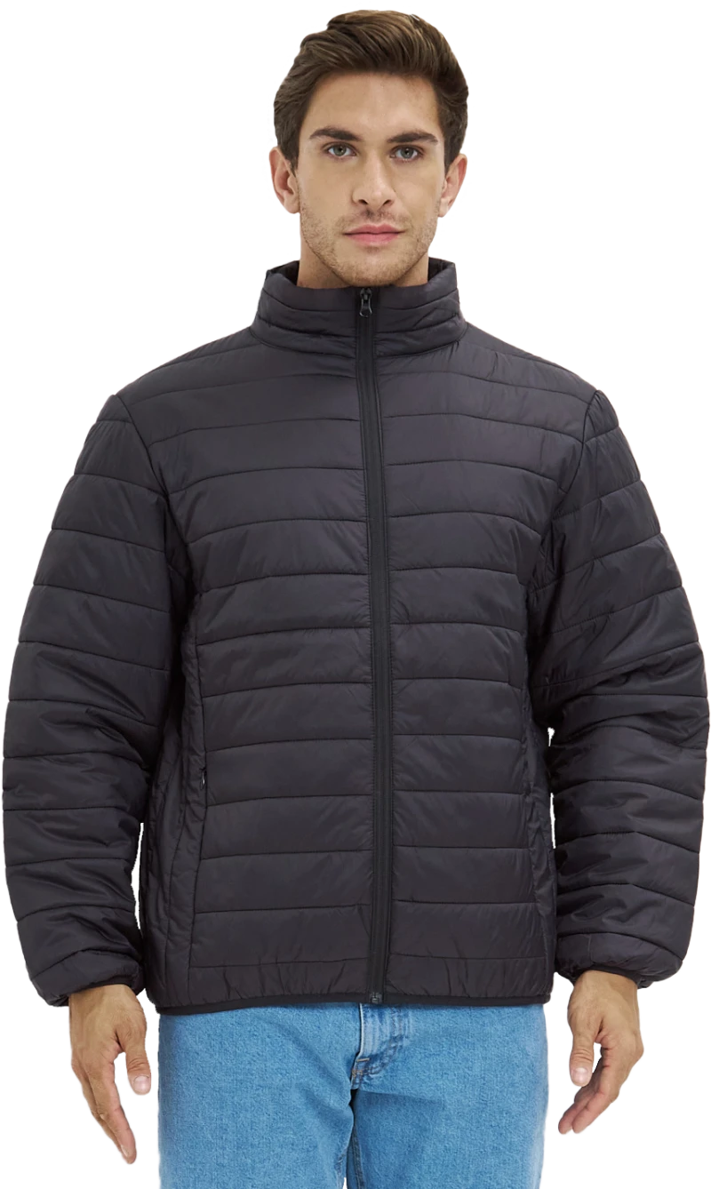 Куртка ДЕМИ стеганая, черный Кур 002