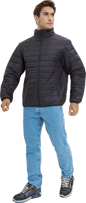 Куртка ДЕМИ стеганая, черный Кур 002